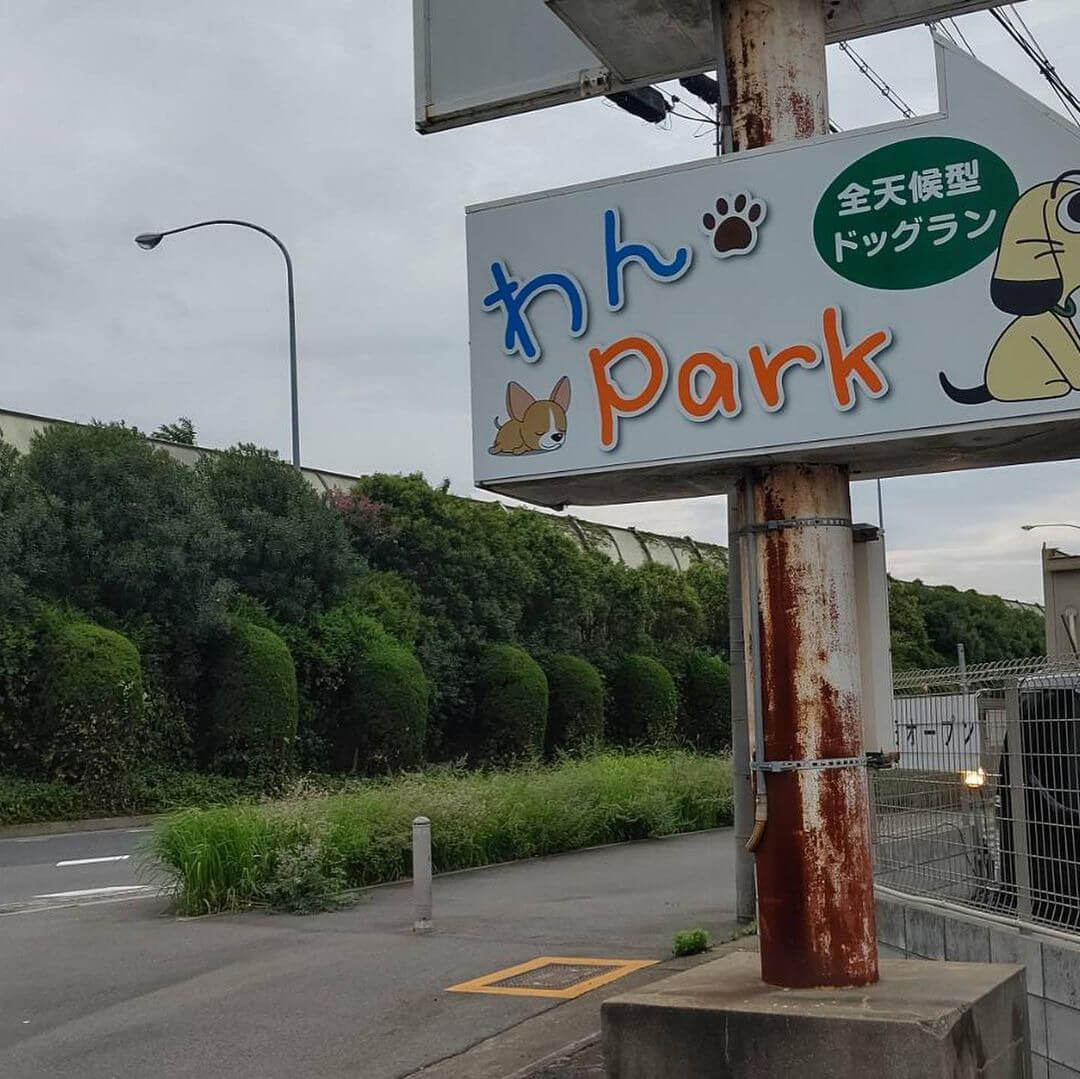 京都周辺で雨の日に遊べる室内ドッグラン：わんpark